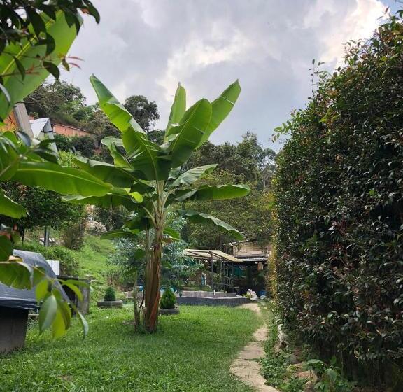 اتاق خانوادگی, Cabañas En Medellin