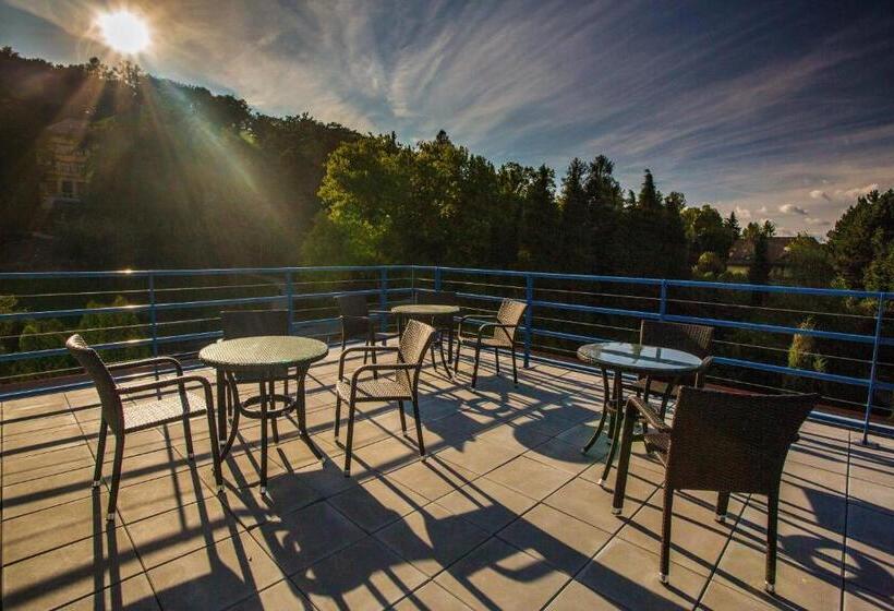 غرفة ديلوكس, Lázeňský Dům Praha