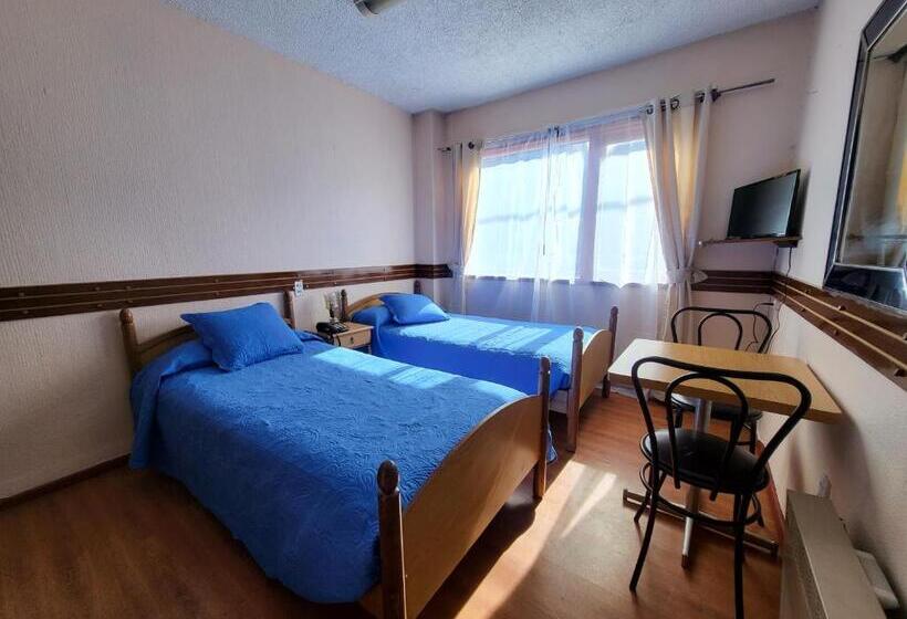 חדר סטנדרט, Alerce Nativo