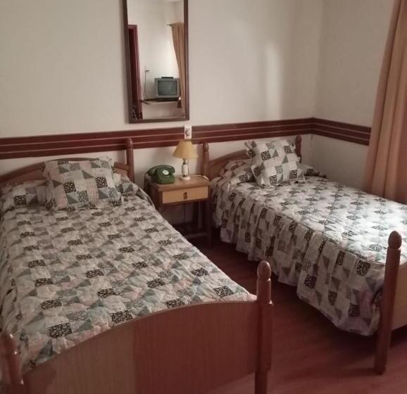 חדר סטנדרט, Alerce Nativo