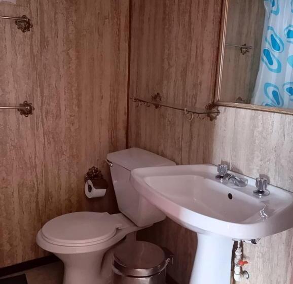 חדר סטנדרט יחיד, Alerce Nativo