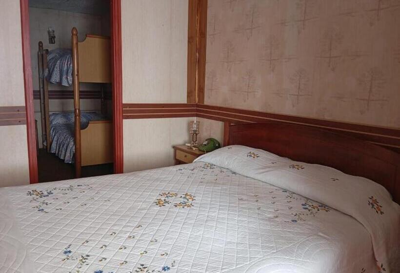 חדר סטנדרט לארבעה, Alerce Nativo