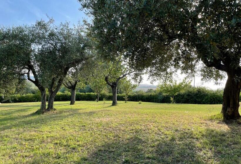 חדר דלוקס, Beb La Nociaia