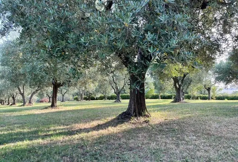 Deluxe-huone, Beb La Nociaia