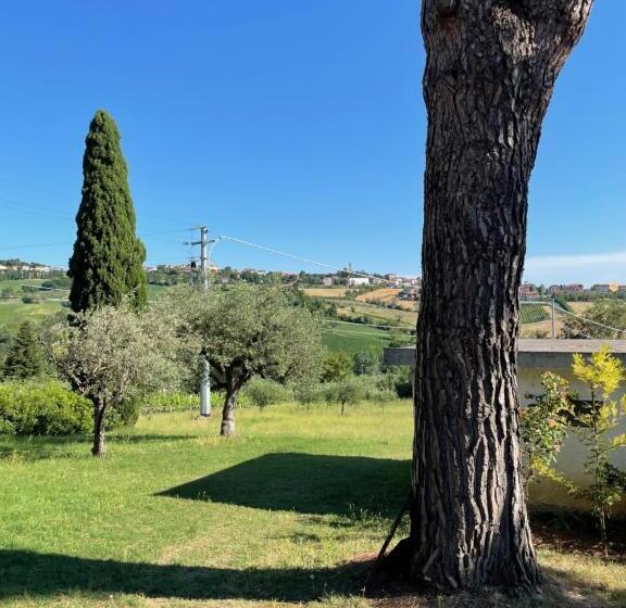 חדר דלוקס, Beb La Nociaia