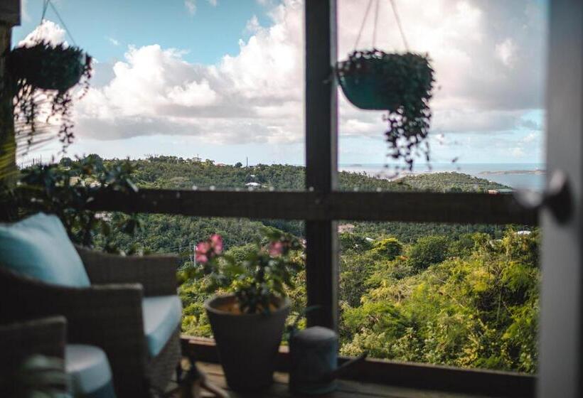 آپارتمان 1 خوابه با بالکن, Cruz Bay Tropical Condo