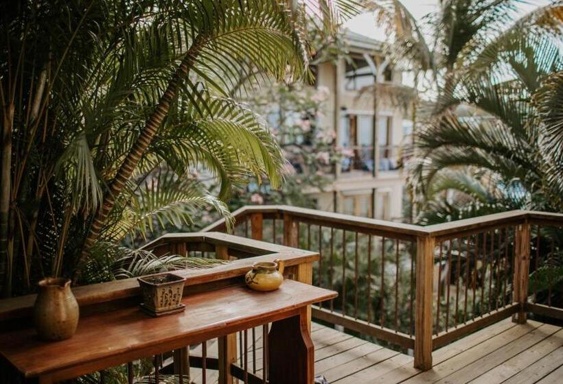 آپارتمان 1 خوابه با بالکن, Cruz Bay Tropical Condo