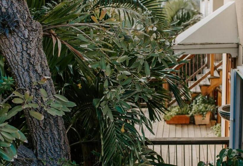 آپارتمان 1 خوابه با بالکن, Cruz Bay Tropical Condo