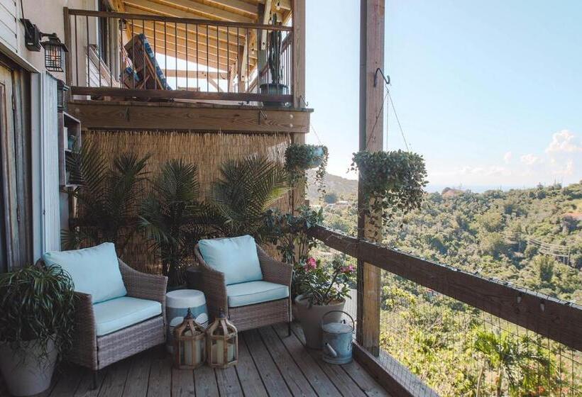 آپارتمان 1 خوابه با بالکن, Cruz Bay Tropical Condo