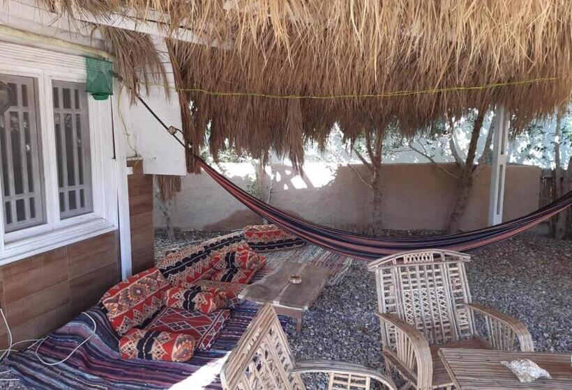 سوییت جونیور با چشمانداز دریا, Green Beach Camp &