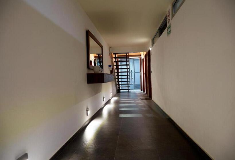 اتاق استاندارد, Casa Cheljo