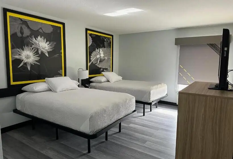 اتاق استاندارد برای معلولان, Super 8 By Wyndham Alexandria La