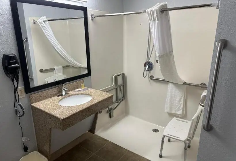 اتاق استاندارد برای معلولان, Super 8 By Wyndham Alexandria La