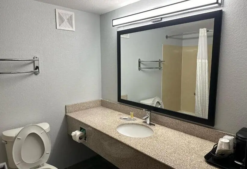 اتاق استاندارد, Super 8 By Wyndham Alexandria La