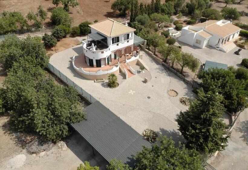 סוויטה עם טרסה, Alojamento Local Patudos, Suite Com Terraço Privado