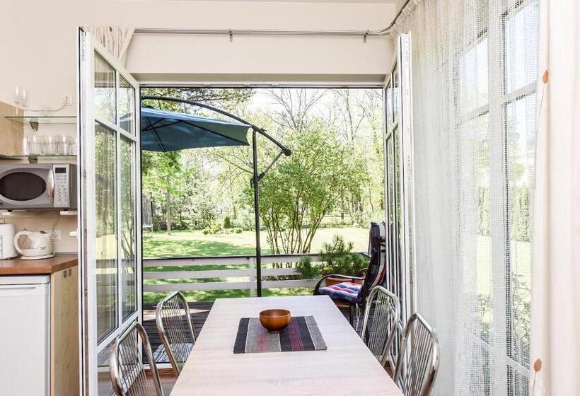 آپارتمان 1 خوابه با تراس, Vila Claudia