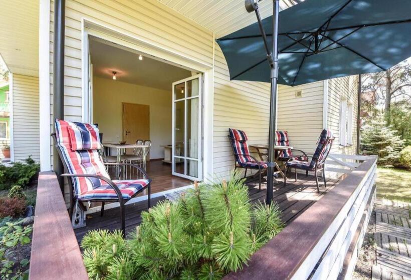 آپارتمان 1 خوابه با تراس, Vila Claudia