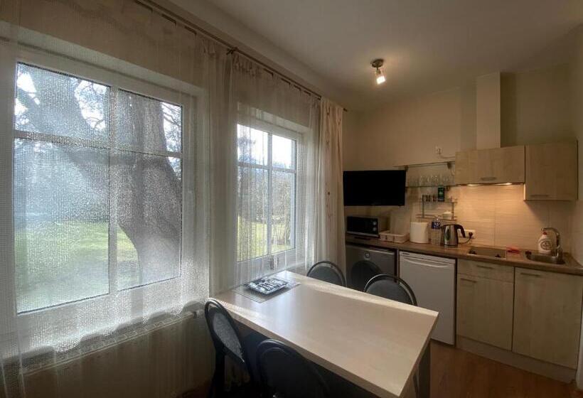 آپارتمان 1 خوابه با چشمانداز باغ, Vila Claudia