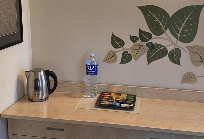 اتاق استاندارد, Vila Claudia