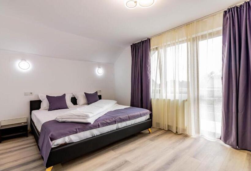 デラックスルーム, Pensiunea D & Ylan