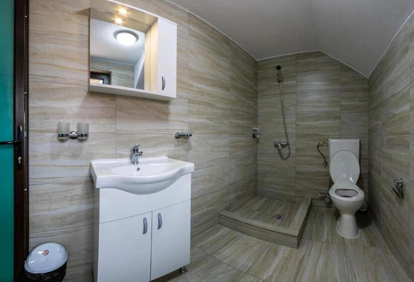 デラックスルーム, Pensiunea D & Ylan