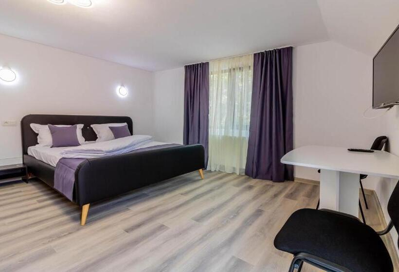 デラックスルーム, Pensiunea D & Ylan