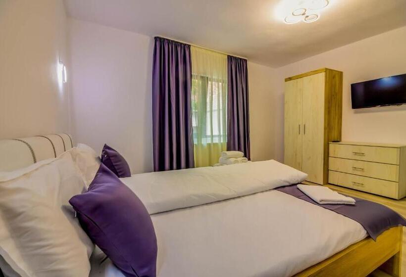 デラックストリプルルーム, Pensiunea D & Ylan