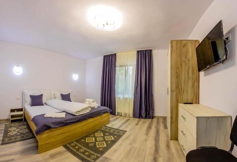 デラックストリプルルーム, Pensiunea D & Ylan