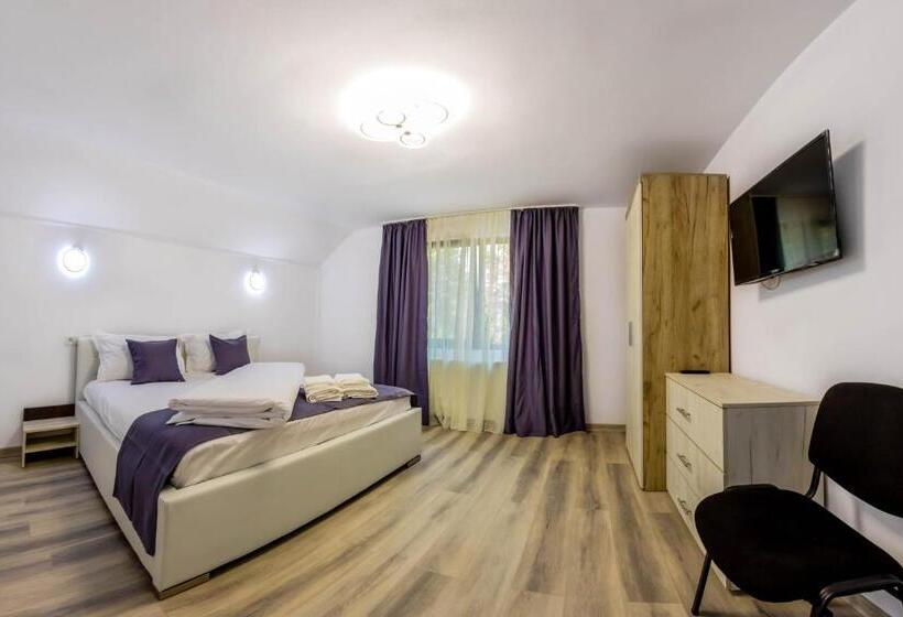 デラックストリプルルーム, Pensiunea D & Ylan