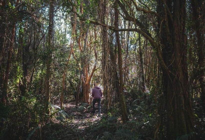کلبه ییلاقی, Tiny House Con Opción De Tina Temperada