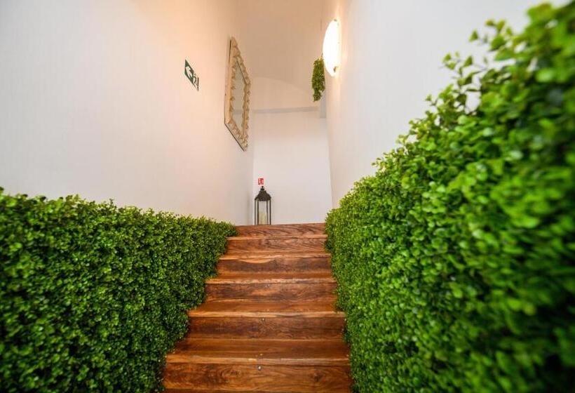 חדר סופריור, Hostel Os