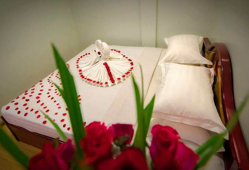 اتاق سوپریور, Mega Star