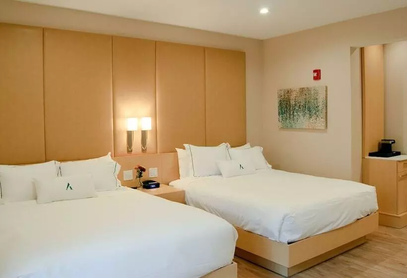 2ダブルベッドのスタンダードルーム, The Chandler At White Mountains, An Ascend Hotel Collection Membe