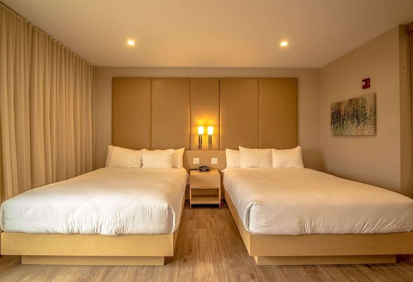 غرفه قياسيه سريرين مزدوجين, The Chandler At White Mountains, An Ascend Hotel Collection Membe