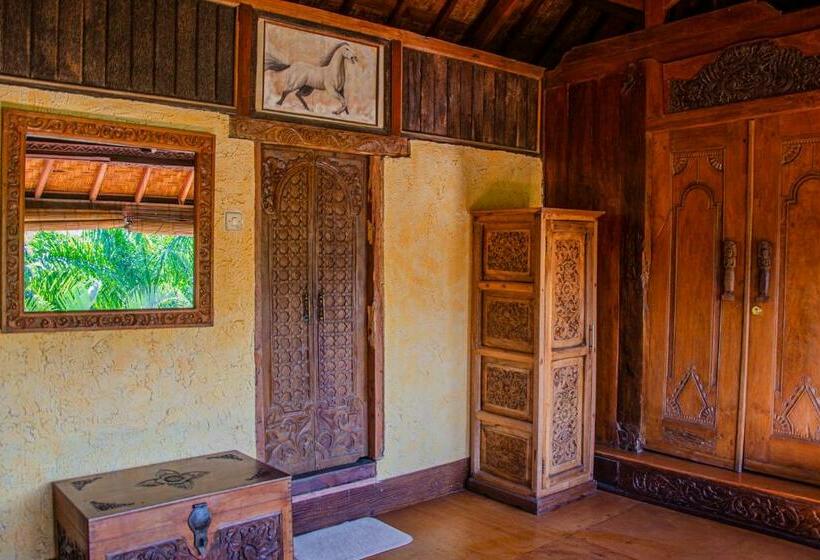 آپارتمان 1 خوابه با بالکن, Stanley Lombok