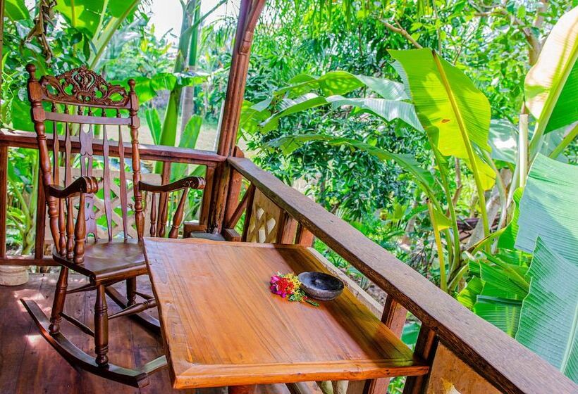 خانه 1 خوابه, Stanley Lombok