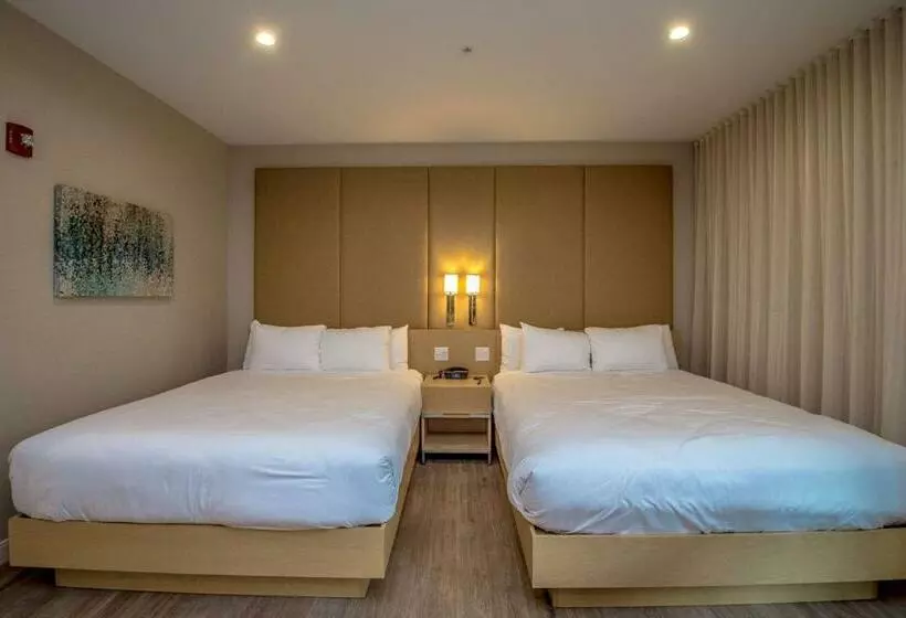 2ダブルベッドのスタンダードルーム, The Chandler At White Mountains, An Ascend Hotel Collection Membe