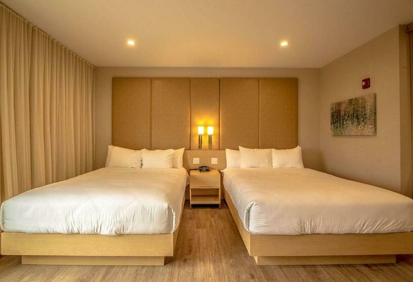 غرفه قياسيه سريرين مزدوجين, The Chandler At White Mountains, An Ascend Hotel Collection Membe