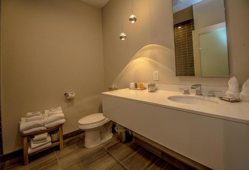 Люкс, The Chandler At White Mountains, An Ascend Hotel Collection Membe