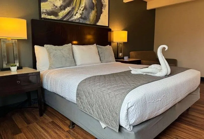スイート, Quality Inn & Suites