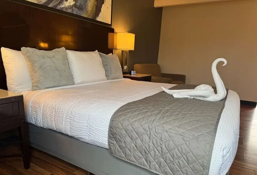スイート, Quality Inn & Suites