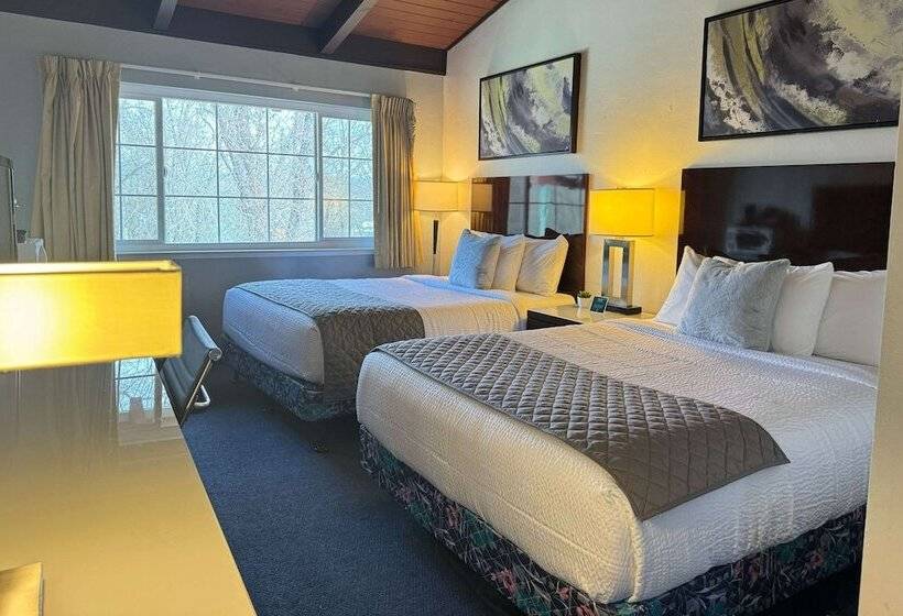 스위트, Quality Inn & Suites