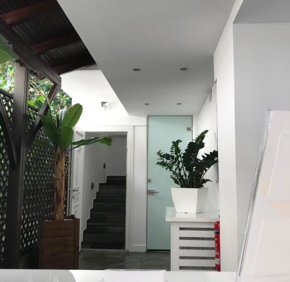 جناح جونيور ديلوكس, Amaryllis Luxury Rooms