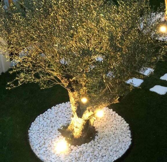 جناح جونيور ديلوكس, Amaryllis Luxury Rooms