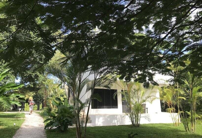بانگلوی استاندارد, South Pacific Memories