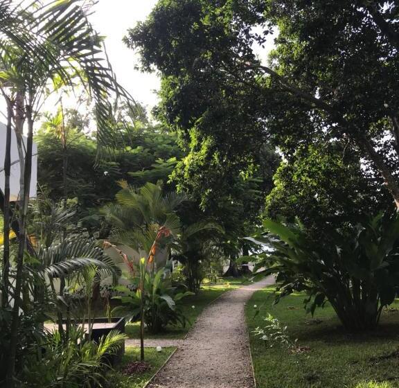 بانگلوی استاندارد, South Pacific Memories