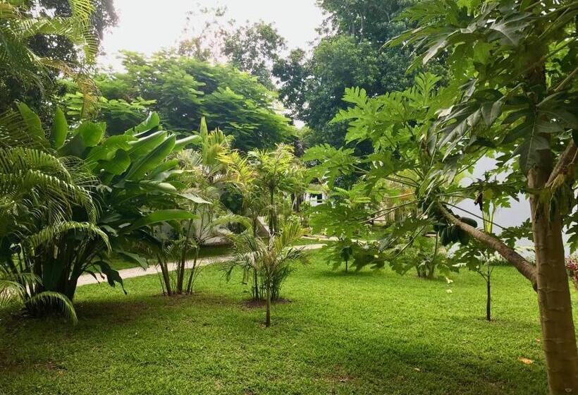 بانگلوی استاندارد, South Pacific Memories