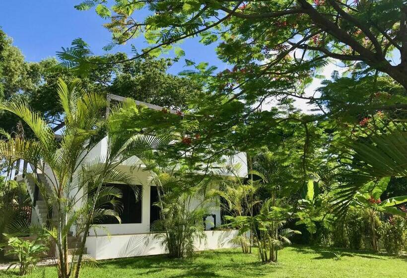 بانگلوی استاندارد, South Pacific Memories