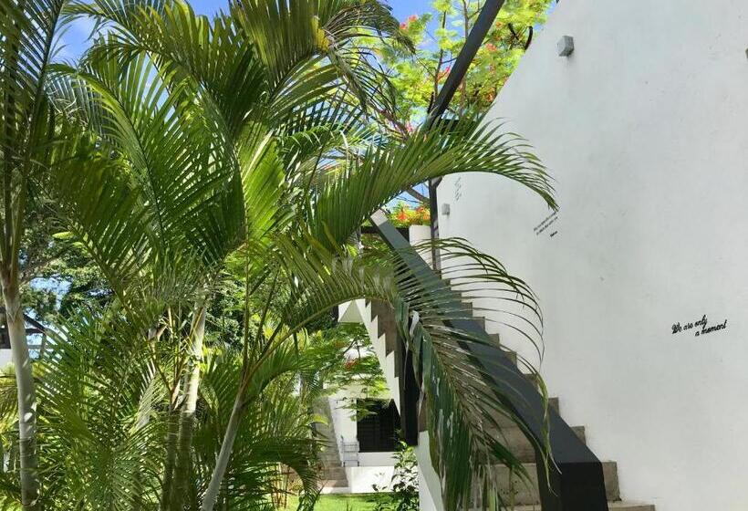 بانگلوی استاندارد, South Pacific Memories