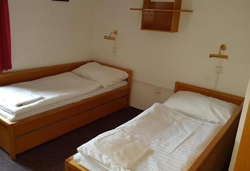 バス共有のスタンダードルーム, Penzion Přeštěnice